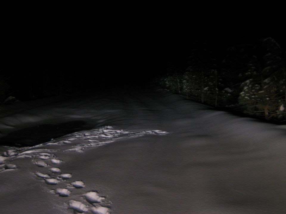 Tire tracks in snow on a dark, wooded road at night