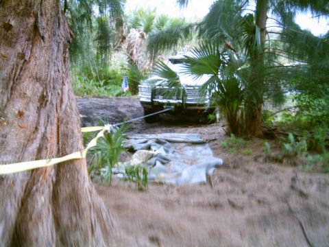 1995 Ford Bronco - Winching a 1995 Ford Bronco out of a muddy area surrounded by trees and vegetation.