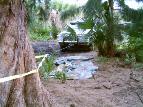 1995 Ford Bronco - Vehicle stuck in a wooded area, possibly off-roading or abandoned.