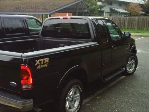 2002 Ford F-150 photo