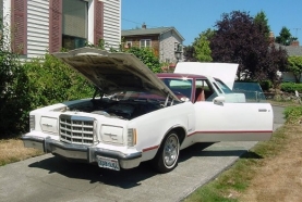 1979 Ford Thunderbird