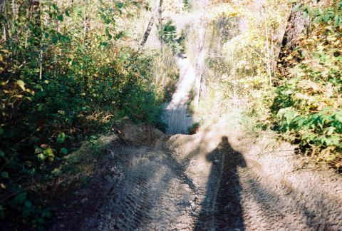1989 Ford Bronco - A dirt path winds through trees with a person's shadow visible on the ground.
