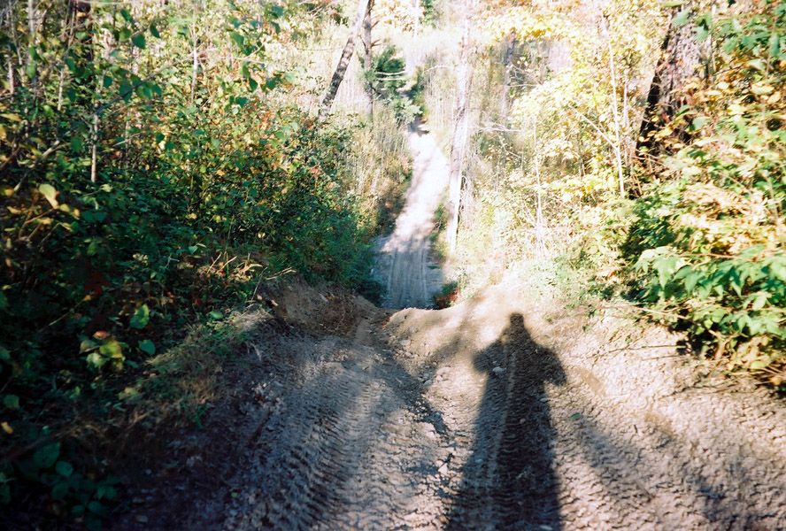 Shadow of person on dirt path in woods