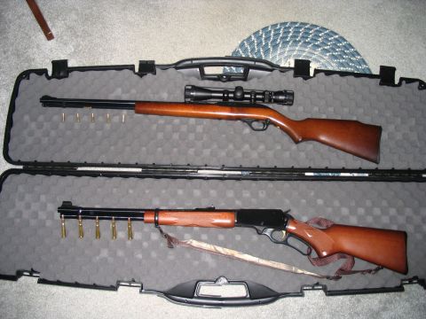 1996 Ford Taurus - Two firearms are stored in a protective case, ready for transport.