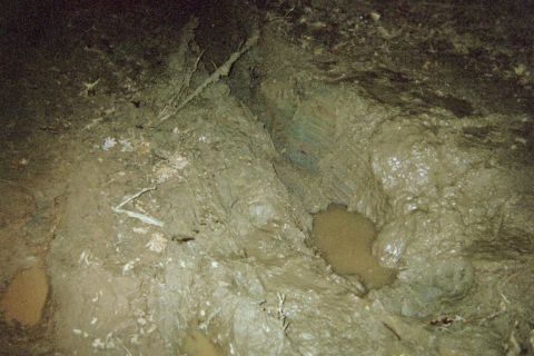 1985 Ford Bronco - Heres the hole after i got pulled out. The top of my tires just barely stuck out over the top of the rut. Of course, their only 32s