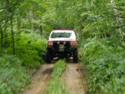 1989 Ford Bronco - A red 1989 Ford Bronco navigates a wooded trail.