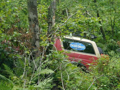 1989 Ford Bronco - This 1989 Ford Bronco is seen off-road, surrounded by dense foliage and trees.