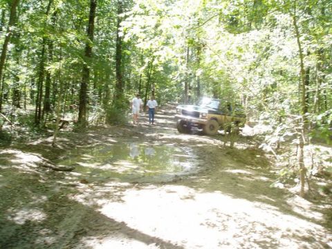 1978 Ford Bronco - 1978 Ford Bronco navigating a wet, dirt path through a forest.