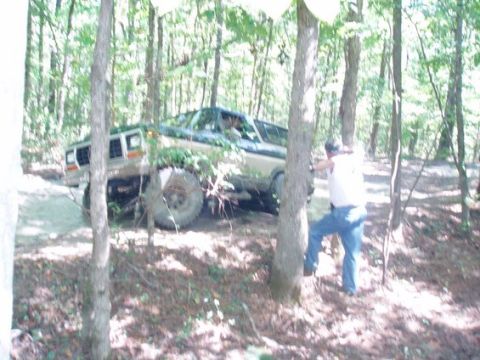 1978 Ford Bronco - A 1978 Ford Bronco navigates a wooded trail with large off-road tires.