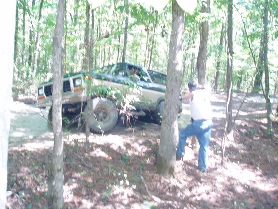 1978 Ford Bronco, tan and brown, off-road tires, driving through trees