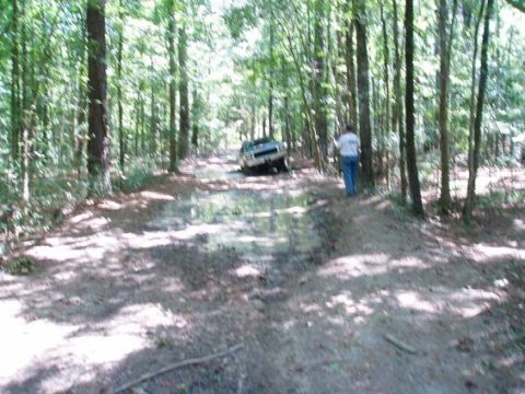 1978 Ford Bronco - A 1978 Ford Bronco navigates a muddy path through a wooded area, with a person observing nearby.