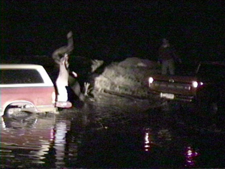 1991 Ford Bronco - CATCH!