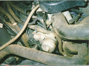 1991 Ford Bronco - Close-up view of engine components, including the alternator and various hoses.