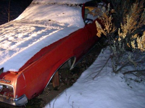 1969 Mercury Cougar - A 1969 Mercury Cougar sits partially covered in snow, with brush encroaching on its side.