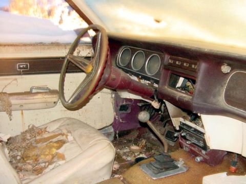 1969 Mercury Cougar - The interior of this abandoned vehicle is filled with debris and shows significant wear and tear.