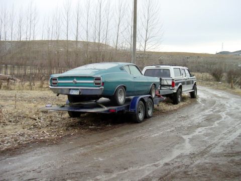 1968 Ford Torino photo
