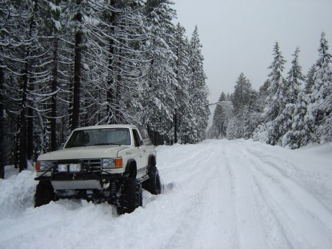 1991 Ford Bronco - White 1991 Ford Bronco navigates a snowy forest road with tall pines covered in snow.