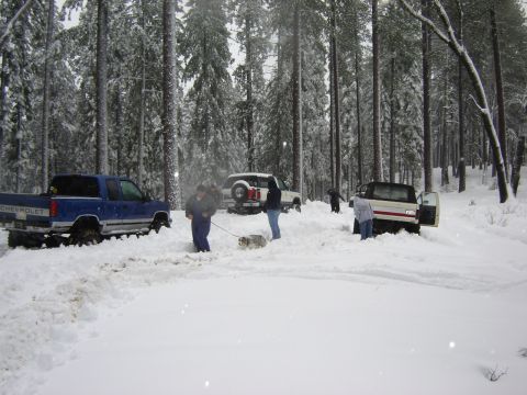 1991 Ford Bronco - People and a dog are near several vehicles stuck in the snow in a wooded area.