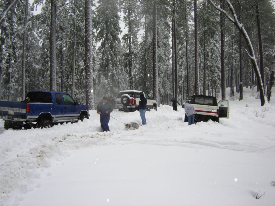 Blue Chevy pickup, white SUV and two-tone Bronco parked in deep snow among pine trees
