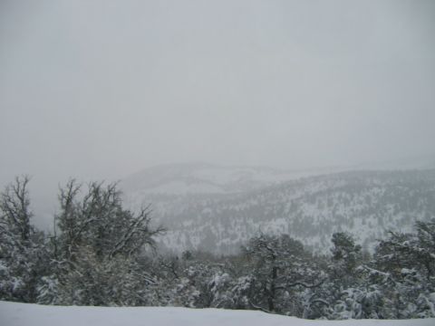 1985 Ford Bronco - A winter scene depicts snow-covered trees and hills under an overcast sky, with a Supermotors watermark visible.