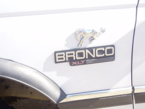 1990 Ford Bronco - What else would make a truck run better, than a pair of Steves83's bucking bronco medalions!