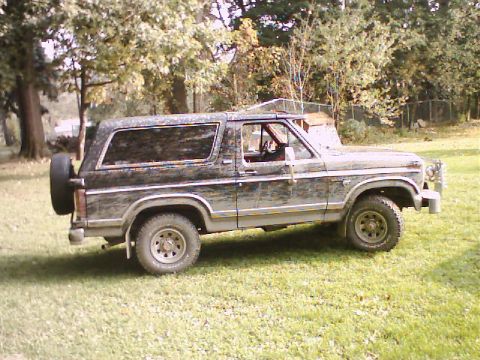 1981 Ford Bronco - This Ford Bronco is parked on a grassy area with trees and a fence visible behind it.