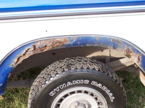 1979 Ford Bronco photo