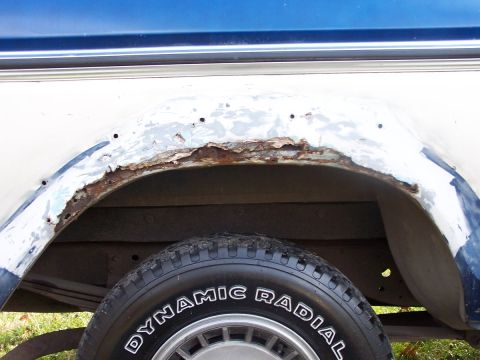 1979 Ford Bronco photo