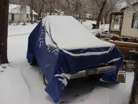 1979 Ford Bronco - Vehicle covered in snow, only the rear bumper and license plate are visible.