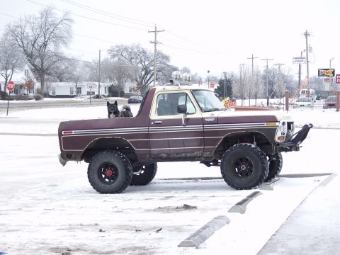 1979 Ford Bronco - A dog sits in the bed of a lifted pickup truck on a snowy day.