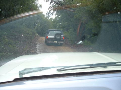 1990 Ford Bronco - A Ford Bronco drives down a dirt road surrounded by trees, viewed from another vehicle.