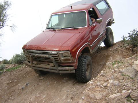 1984 Ford Bronco - Cruisin