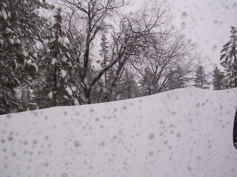 Snowy landscape with bare trees and snow-covered evergreens, seen through a wet windshield