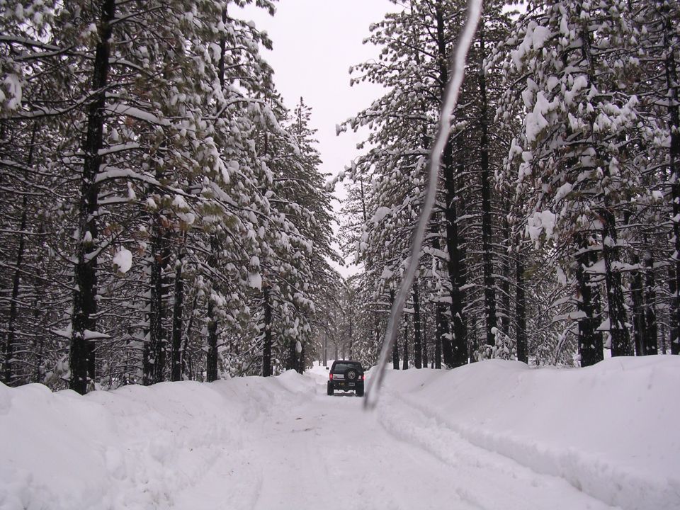 Black SUV driving on a snow-covered road through a forest