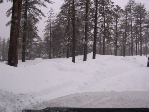 1999 Toyota Tacoma
