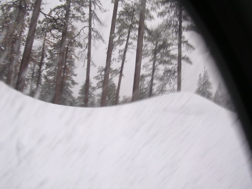 Snowy forest scene viewed through a curved window, with a Supermotors.net logo in the corner