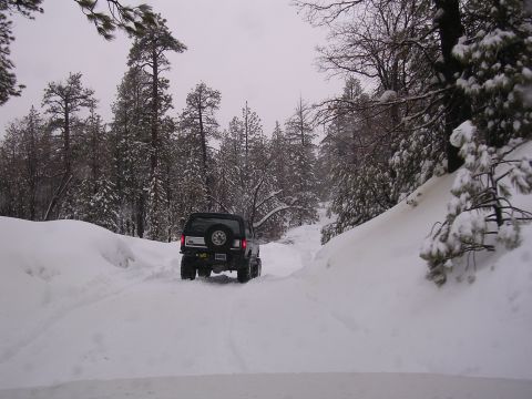 1999 Toyota Tacoma