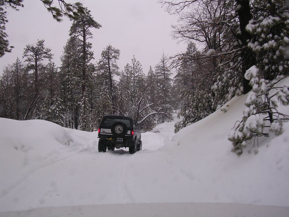 Black SUV with spare tire on rear driving on snowy road in forest
