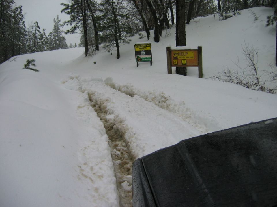Tire tracks in snow on a wooded road with two signs