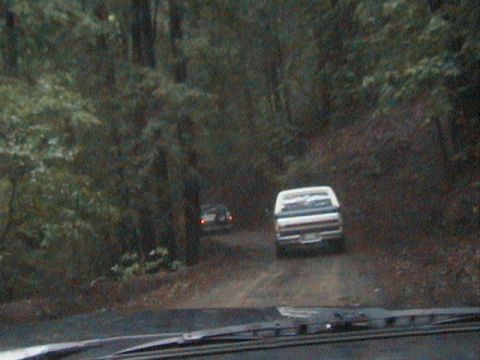 1991 Ford Bronco - A white pickup truck is seen from behind on a dirt road, with another vehicle in the distance and dense trees lining the path.