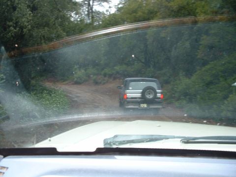 1991 Ford Bronco - A 1991 Ford Bronco drives ahead on a dirt road surrounded by trees.