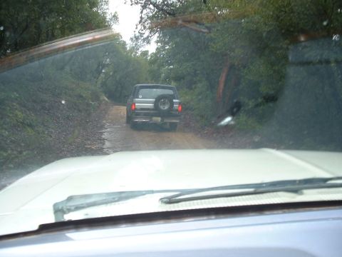 1991 Ford Bronco - Following a 1991 Ford Bronco on a wooded dirt road.