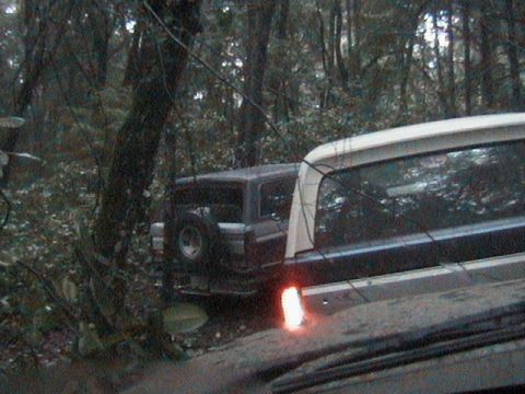 1991 Ford Bronco - Two vehicles are parked closely in a dense forest, with one showing its rear and spare tire.