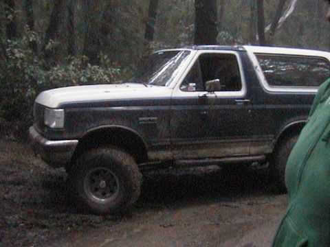 1991 Ford Bronco - This Ford Bronco appears to be from the early 1990s, not a 1991 model.