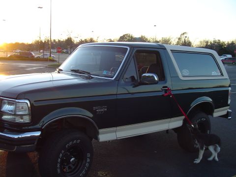 1993 Ford Bronco - A dog is leashed to the door handle of a dark green Ford Bronco with a beige top in a parking lot.