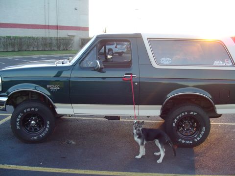 1993 Ford Bronco - A green and white 1993 Ford Bronco is parked outside with a dog on a leash standing next to it.