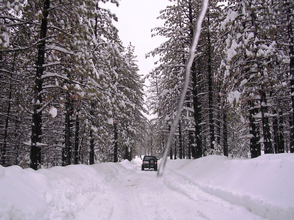 Dark SUV parked on snowy plowed road through snow-covered evergreen forest