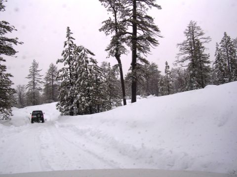 1985 Ford Bronco - A lone SUV navigates a snowy mountain pass surrounded by snow-laden pine trees.