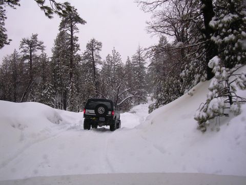 1985 Ford Bronco - A 1985 Ford Bronco navigates a snow-covered forest road, its spare tire visible on the rear.