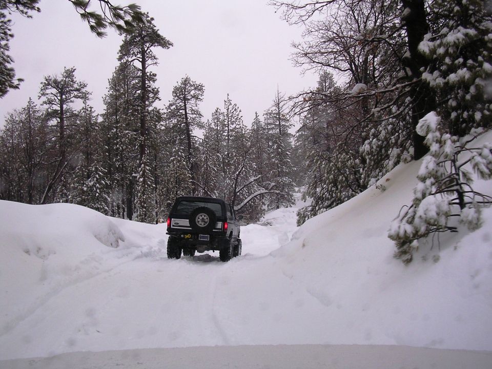 Dark Ford Bronco from rear on snowy forest road with spare tire on tailgate.